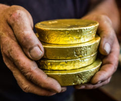 Ксеньевский прииск добыл 1316 кг золота