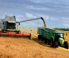 Окончен сбор пшеницы в Краснодарском крае