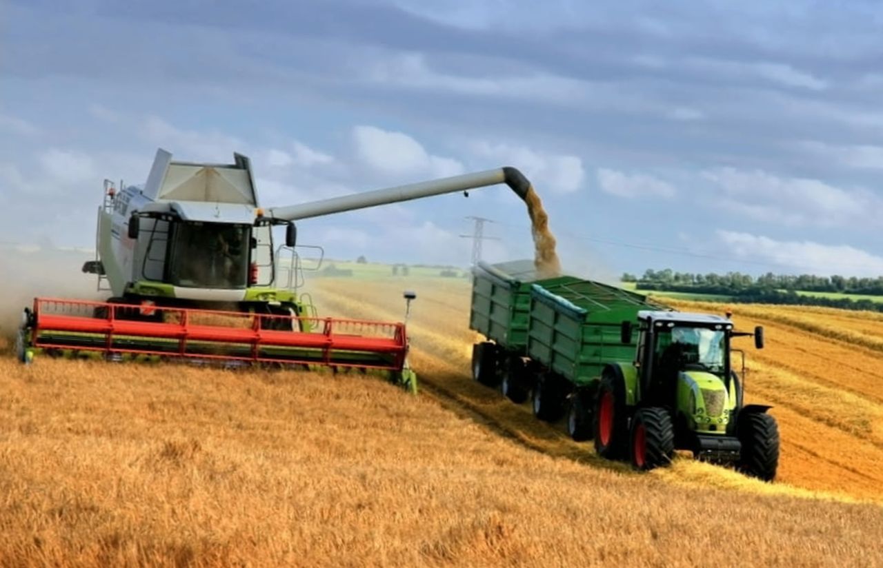 Окончен сбор пшеницы в Краснодарском крае