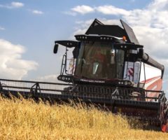 Уборка урожая зерна в РФ на 7 августа 2022 года